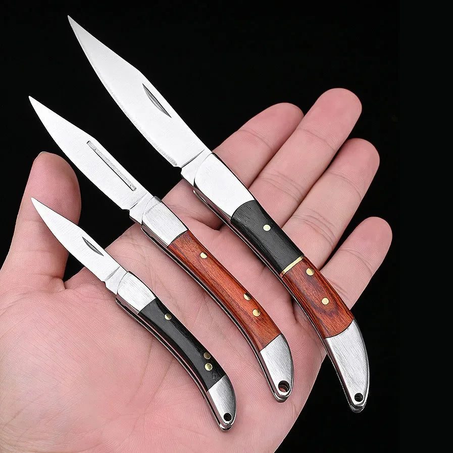 Compact Stainless Steel Folding Knife