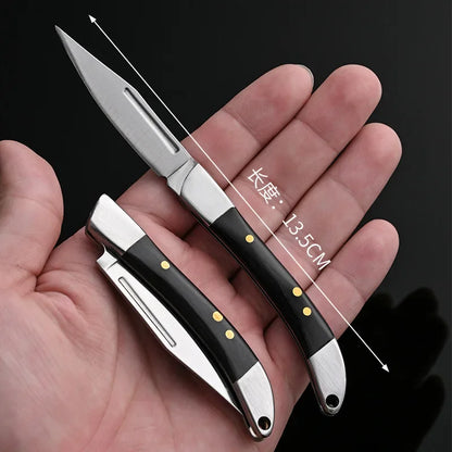 Compact Stainless Steel Folding Knife