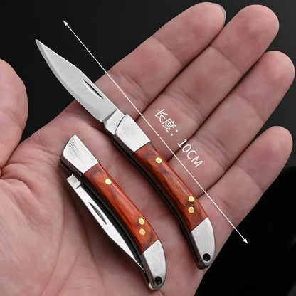 Compact Stainless Steel Folding Knife