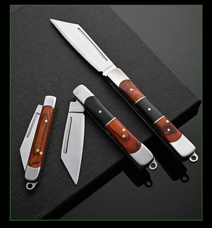 Compact Stainless Steel Folding Knife