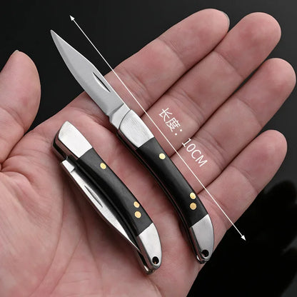 Compact Stainless Steel Folding Knife