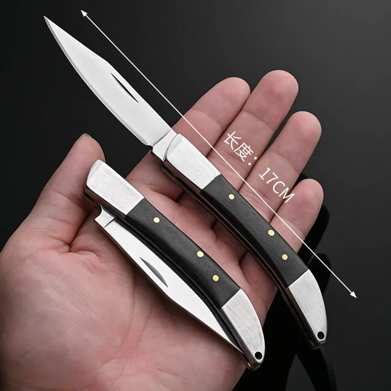 Compact Stainless Steel Folding Knife