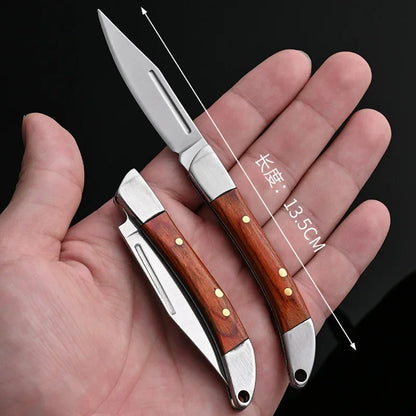 Compact Stainless Steel Folding Knife