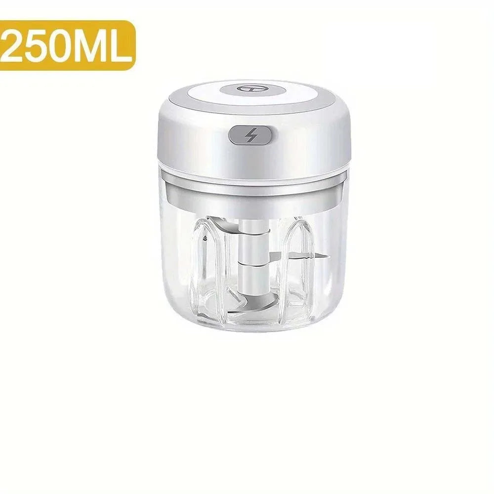 Electric Mini Food Chopper