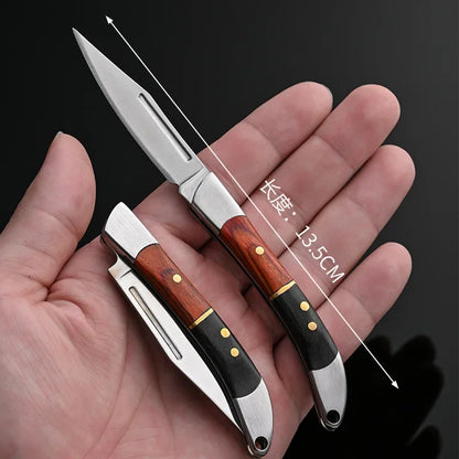 Compact Stainless Steel Folding Knife