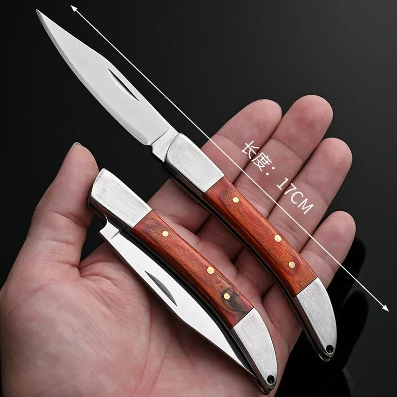 Compact Stainless Steel Folding Knife